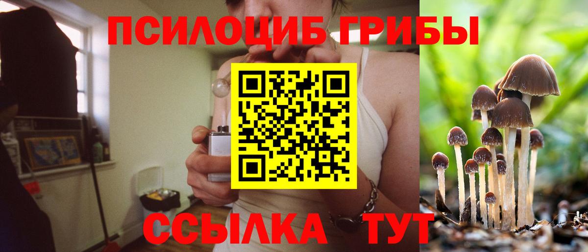 Псилоцибиновые грибы Psilocybine cubensis  наркота  Калач-на-Дону  Вход с VPN 